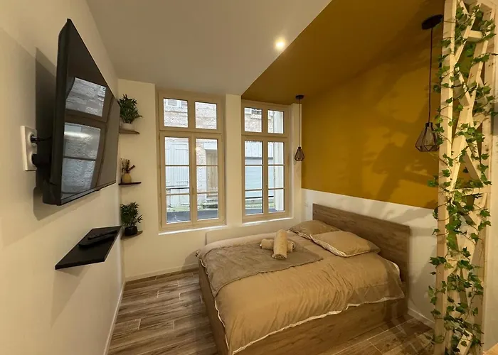 Hyper Centre Le Cosy 公寓