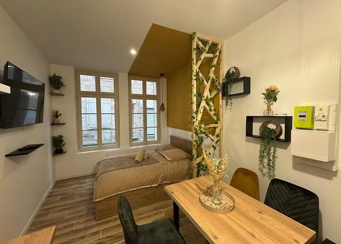 Hyper Centre Le Cosy 公寓 尼奥尔